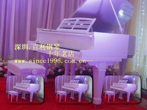 深圳百利二手鋼琴 晶報專題采訪企業(yè)的成功之道