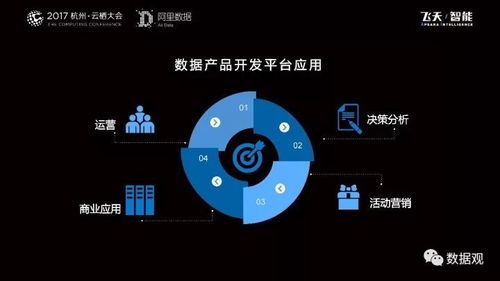 阿里數(shù)據(jù)服務產(chǎn)品開發(fā)與大數(shù)據(jù)體系演進實錄